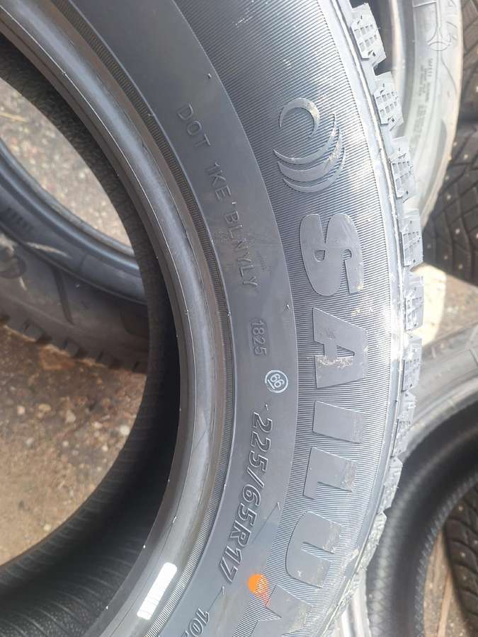 Sailun, winter 225/65 R17