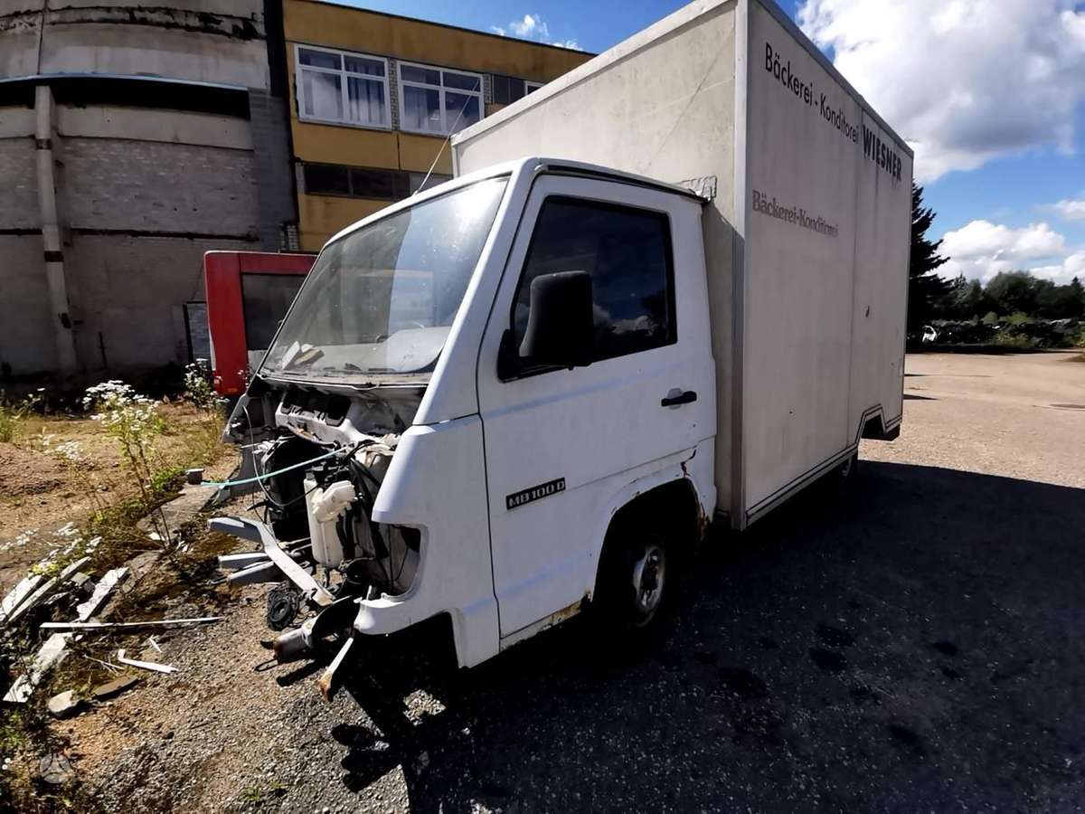 Mercedes-Benz 100, trucks