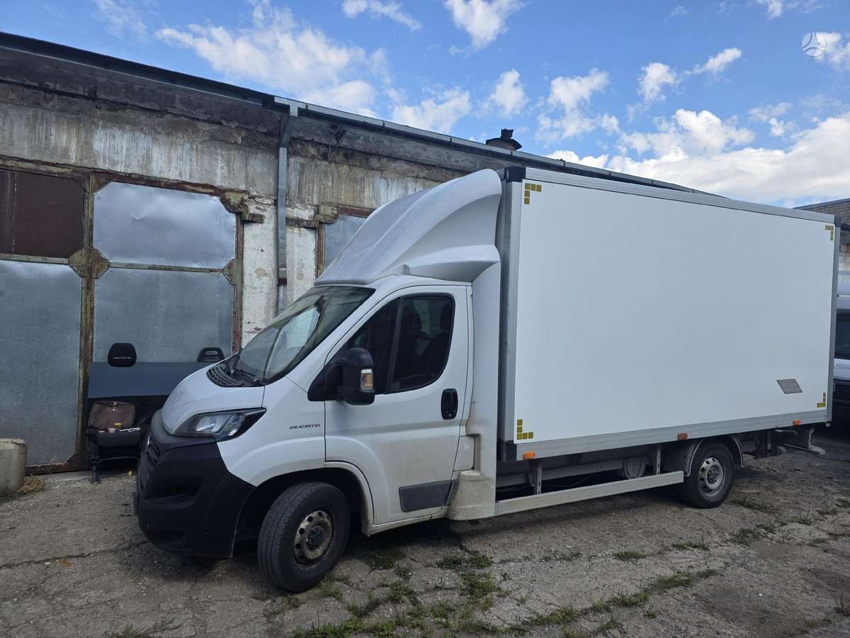 Fiat Ducato, krovininiai mikroautobusai