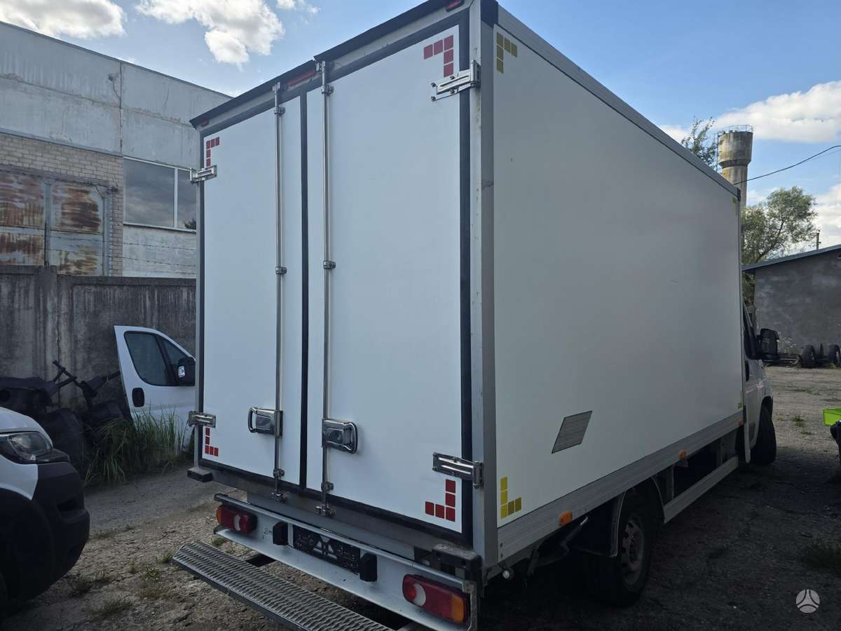 Fiat Ducato, krovininiai mikroautobusai