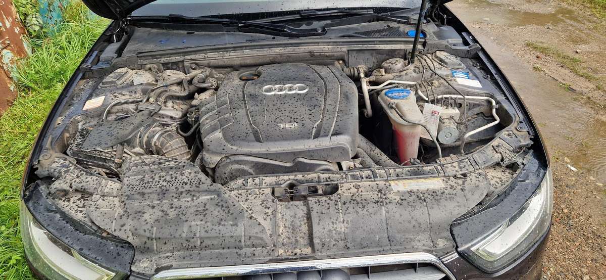 Audi A4, 2.0 l., wagon