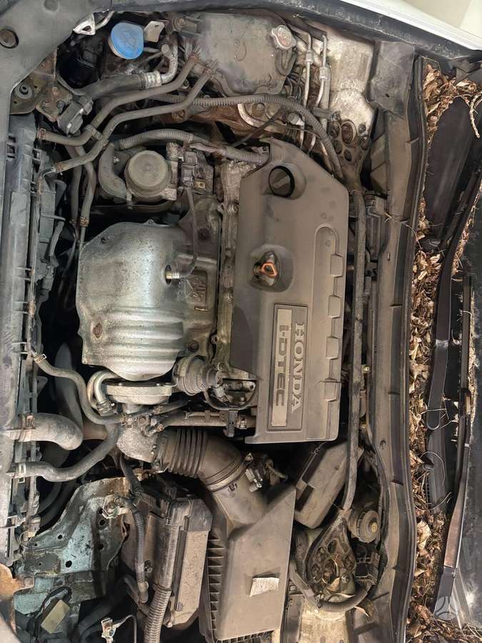 Honda Accord dalimis
