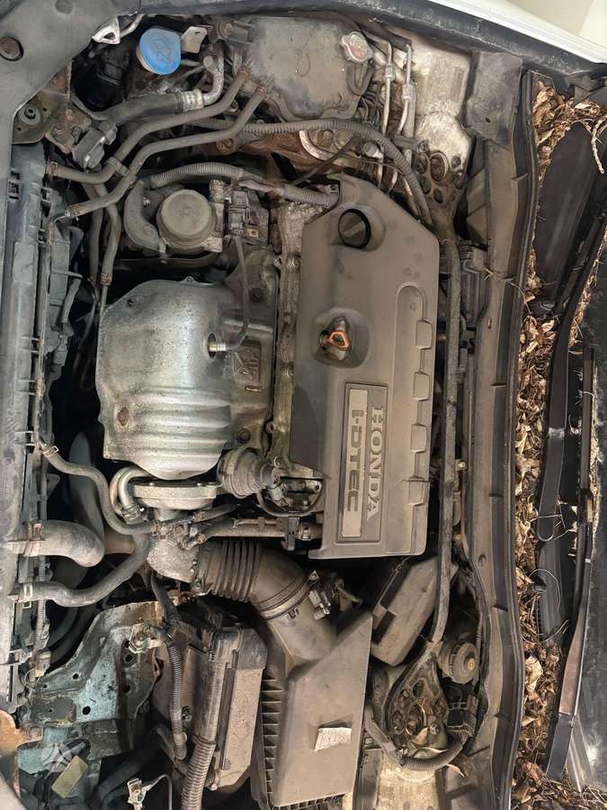 Honda Accord for parts