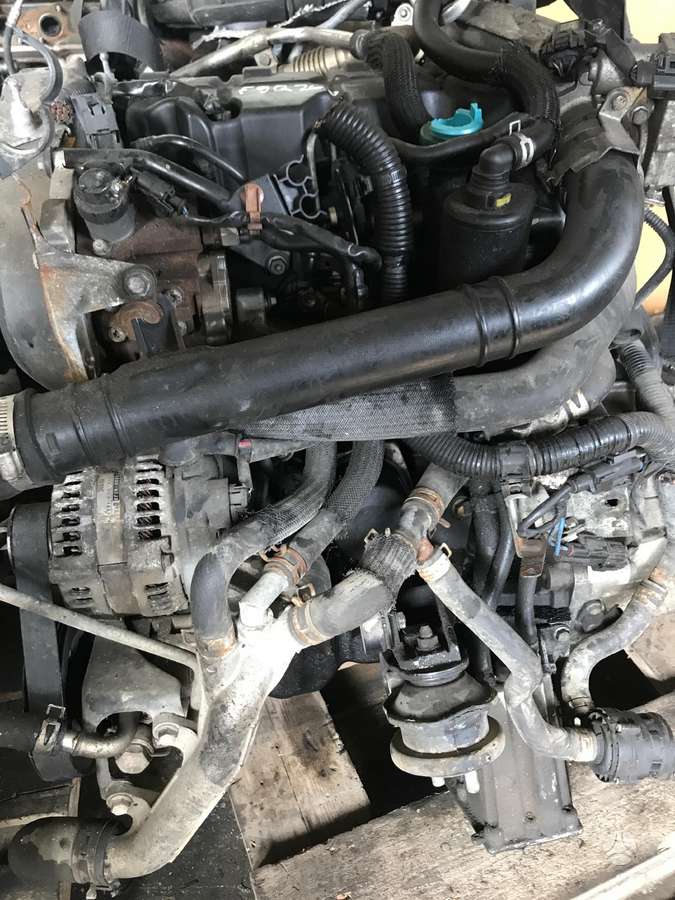 Suzuki Grand Vitara, F9Q266, engine