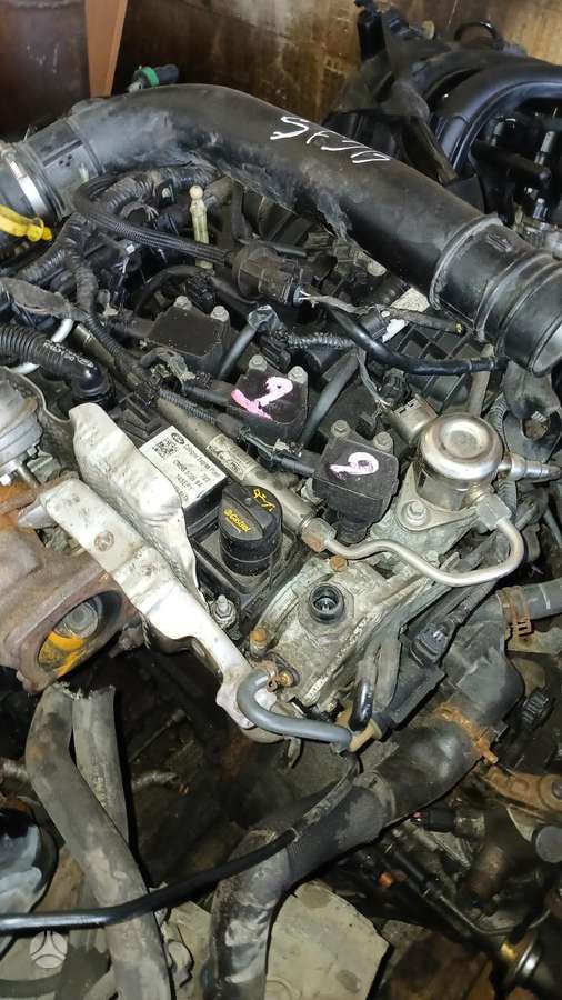 Ford Fiesta, SFJB, двигатель