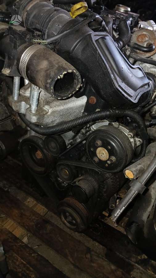 Ford Fiesta, SFJB, двигатель