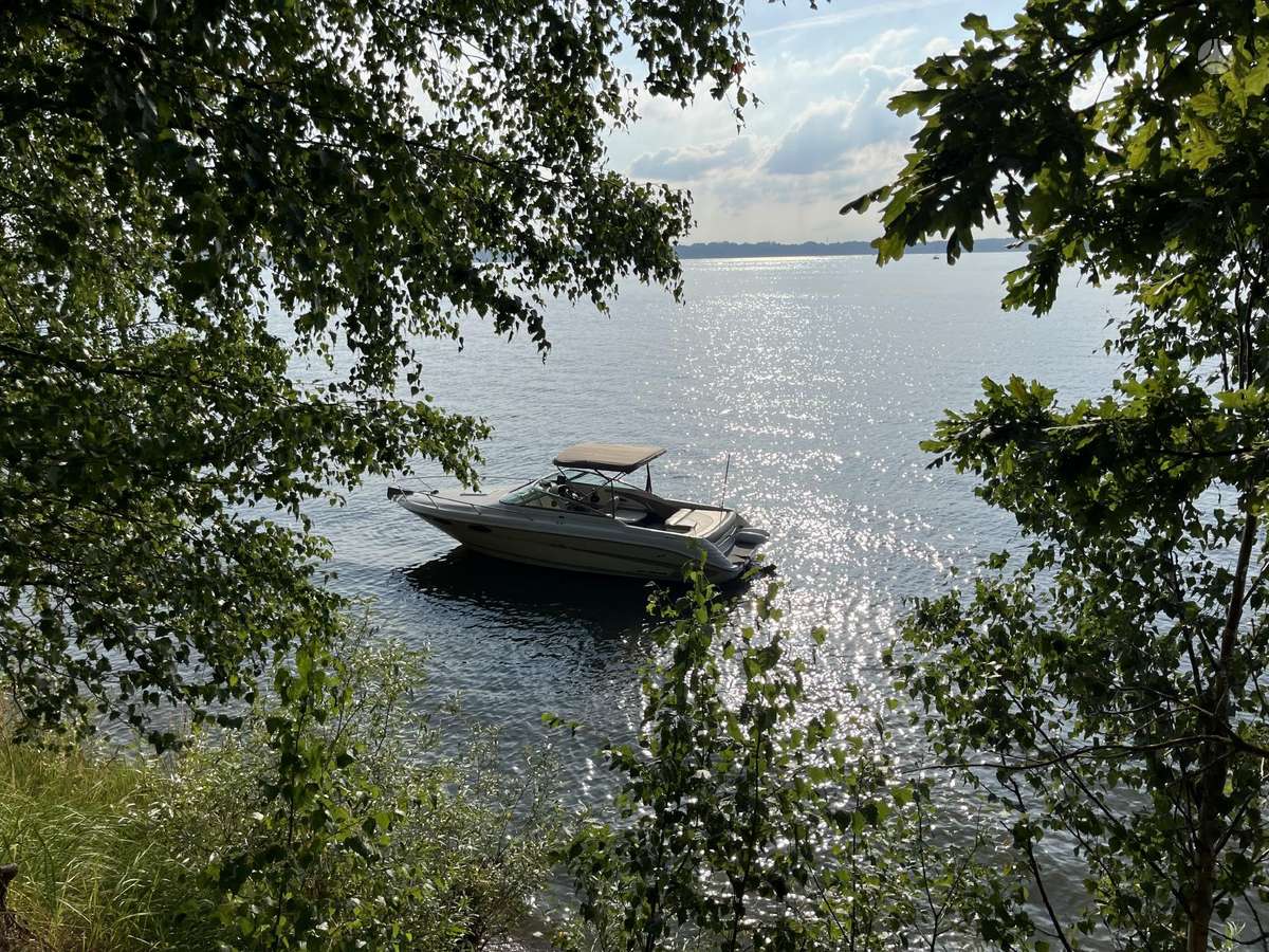 Sea Ray 220, яхты / катера