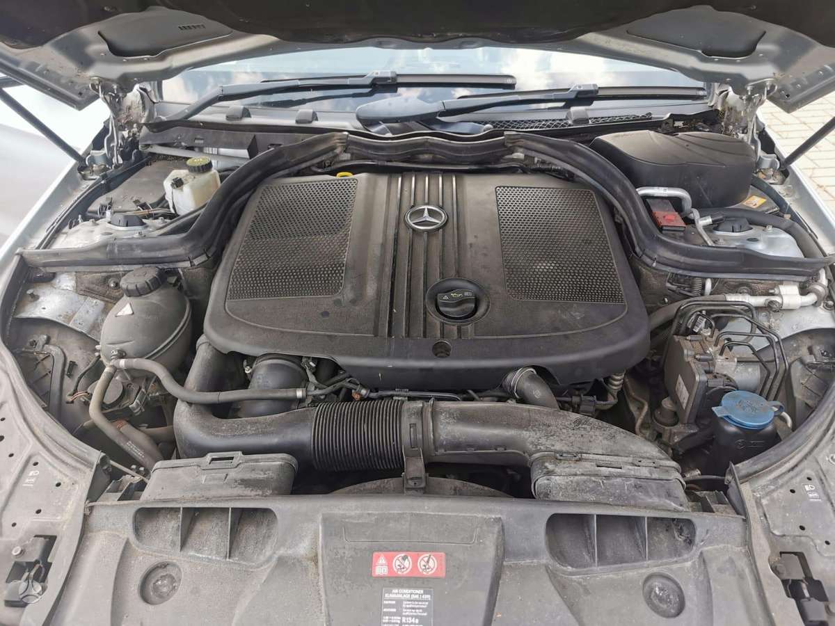 Mercedes-Benz E220 dalimis
