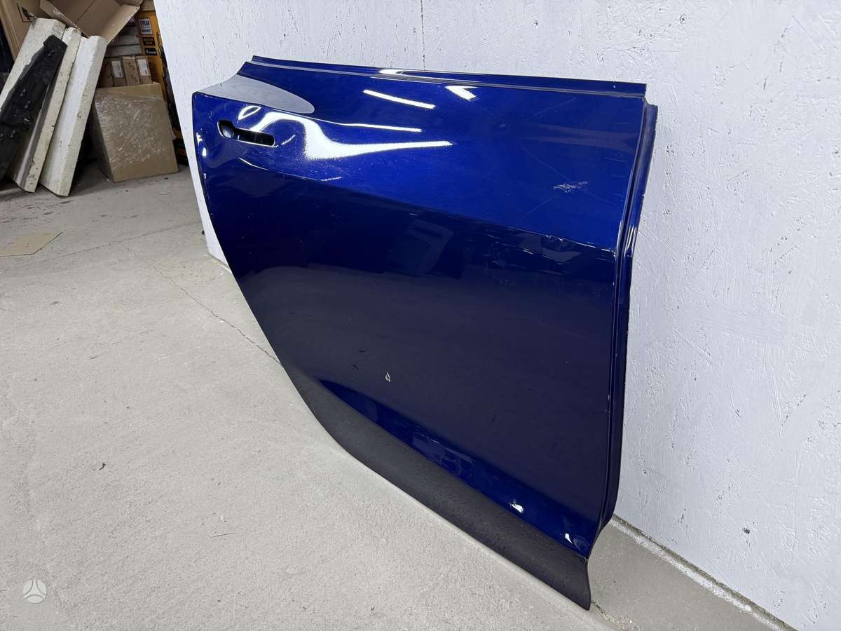 Tesla Model 3 doors
