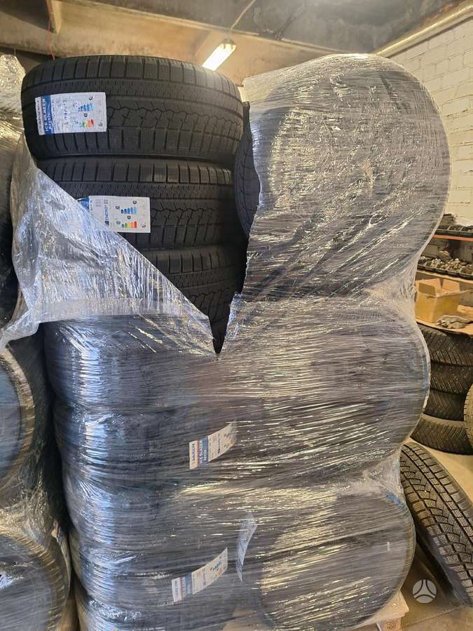 Sailun ARCTIC, winter 225/50 R17