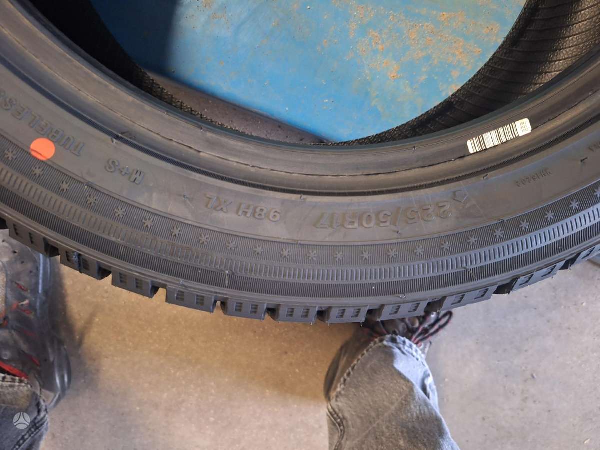 Sailun ARCTIC, winter 225/50 R17