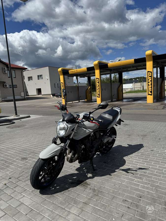 Suzuki GSF (Bandit), street / classic