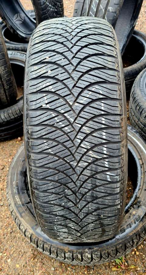 Goodride, universalios 225/55 R19