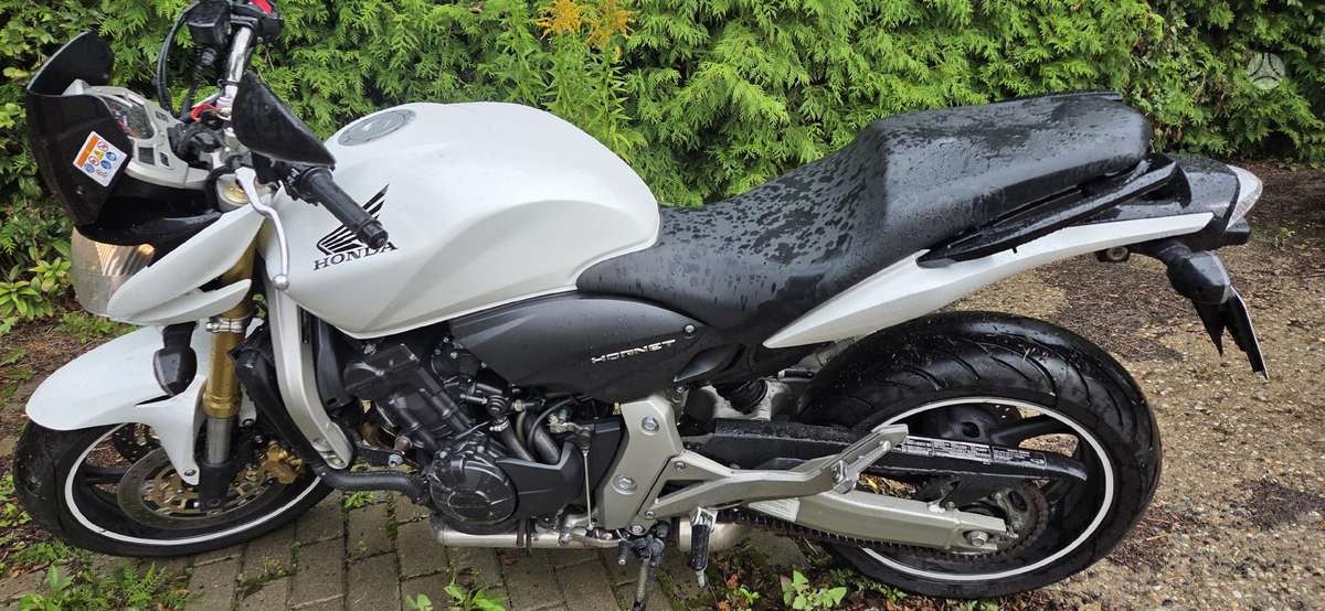 Honda Hornet 599cc, street / classic
