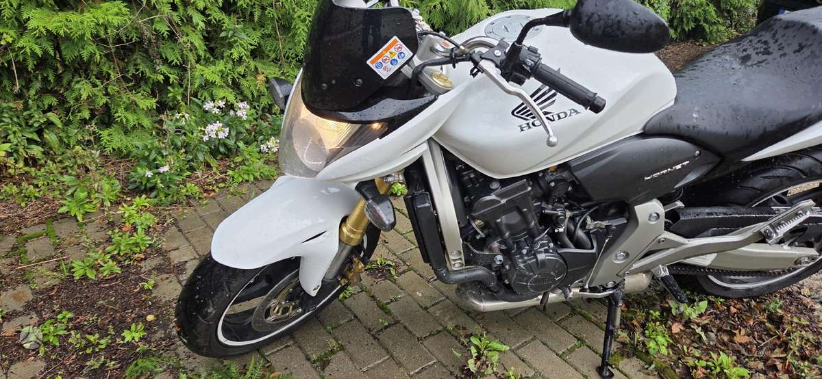 Honda Hornet 599cc, street / classic
