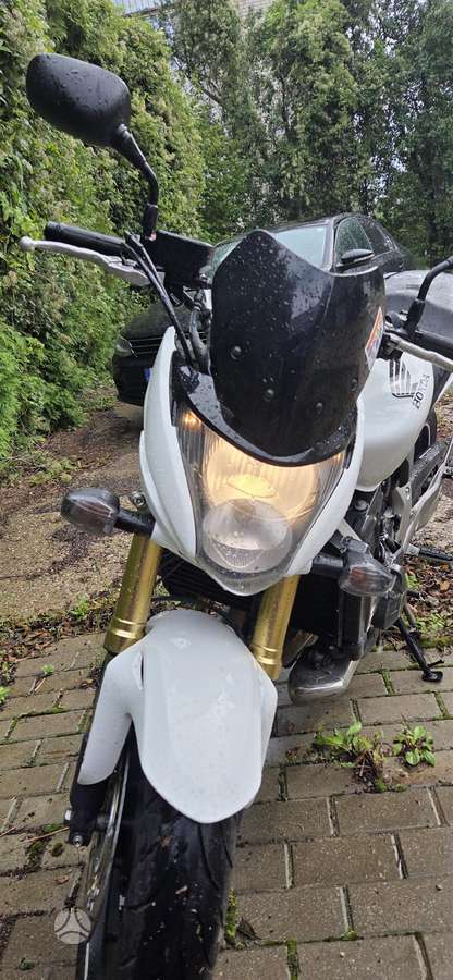Honda Hornet 599cc, street / classic