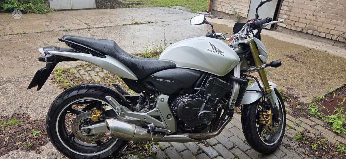 Honda Hornet 599cc, street / classic