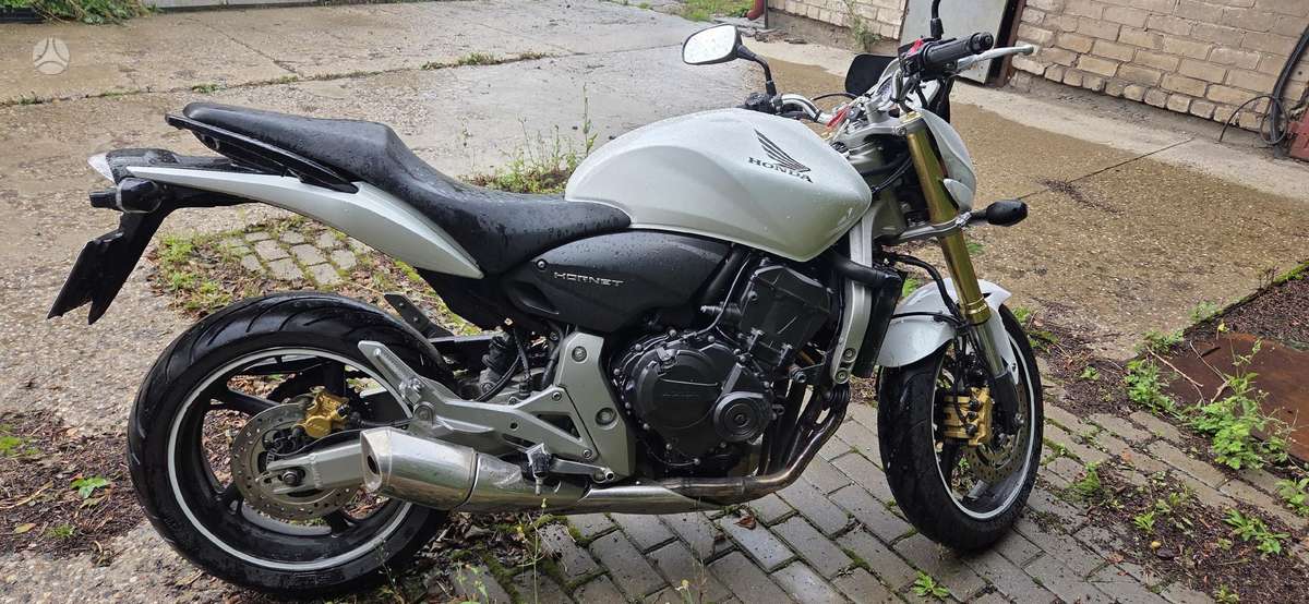 Honda Hornet 599cc, street / classic