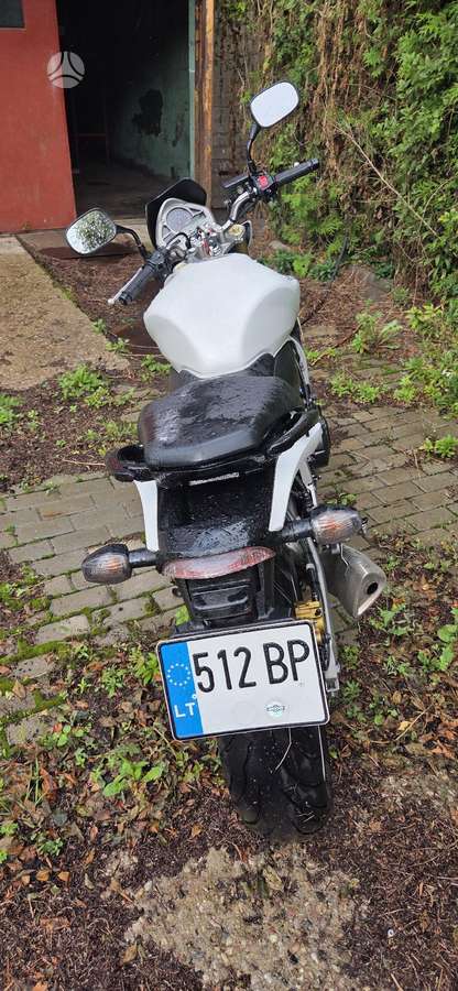 Honda Hornet 599cc, street / classic