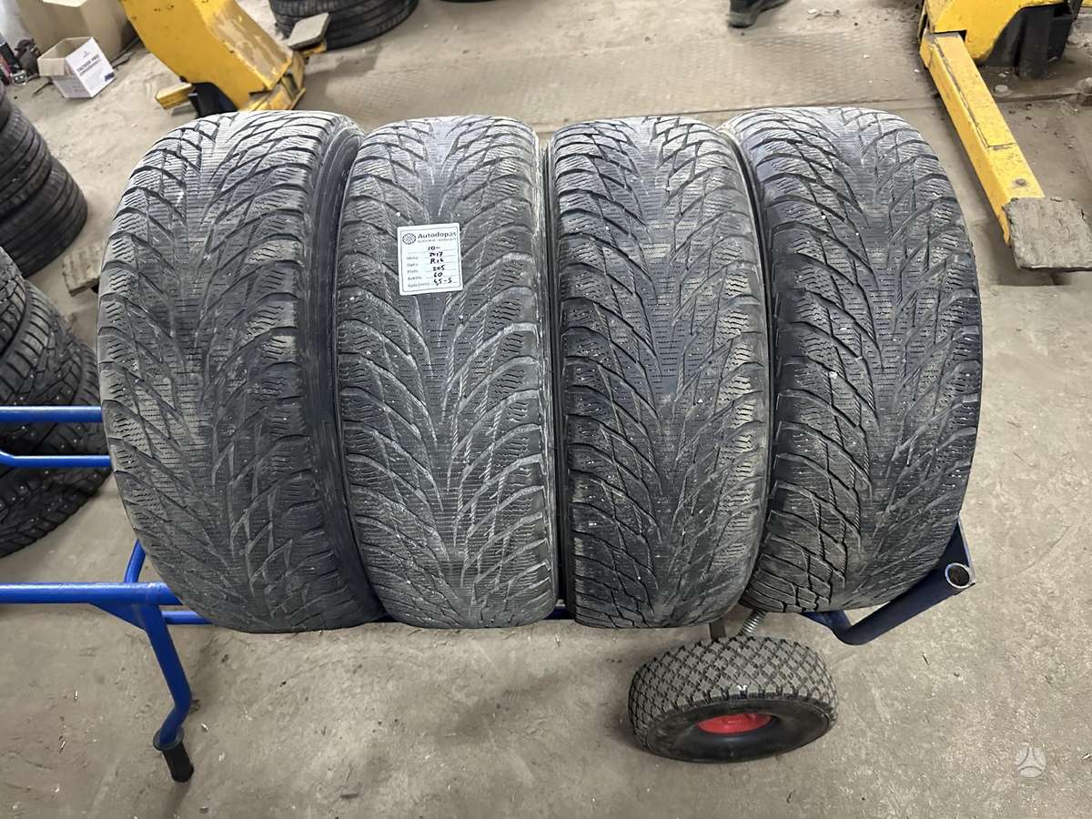 Nokian, winter 205/60 R16