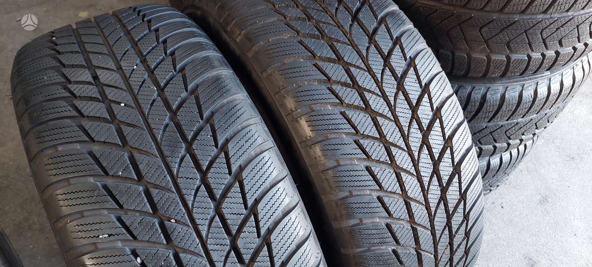 Bridgestone, winter 225/50 R18