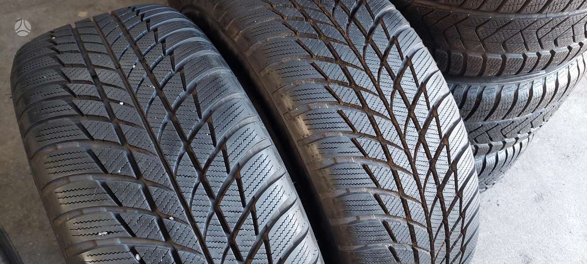 Bridgestone, žieminės 225/50 R18