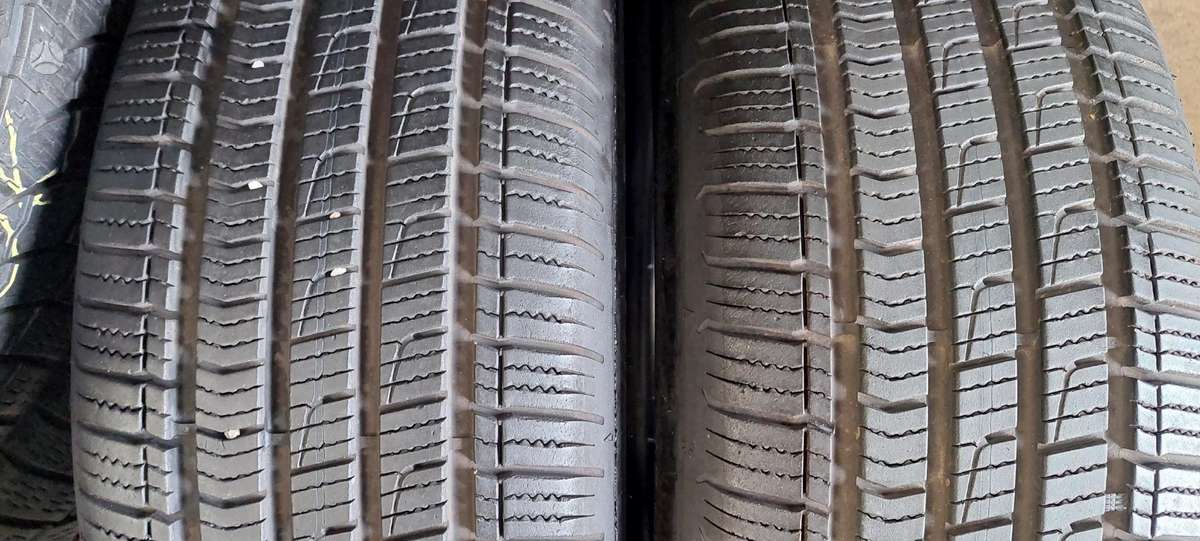 Dunlop, universalios 205/55 R16