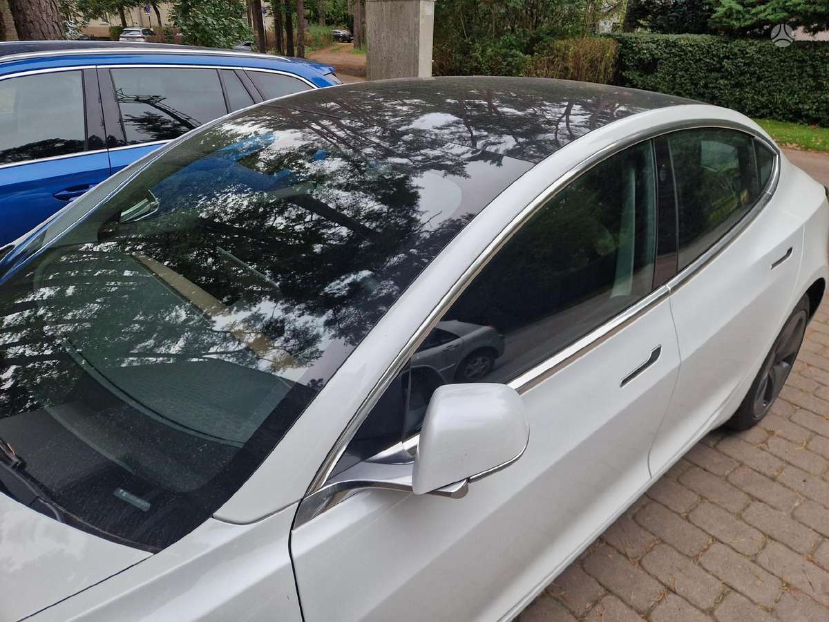 Tesla Model 3, hečbekas