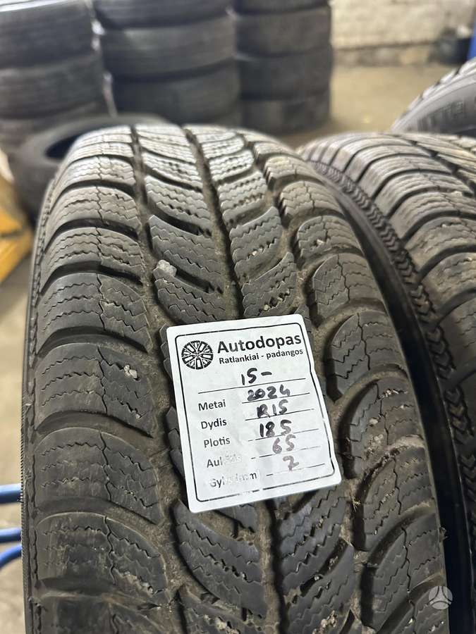 Sava, winter 185/65 R15