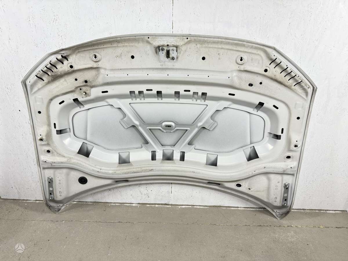 Volkswagen Tiguan hood (front, rear)