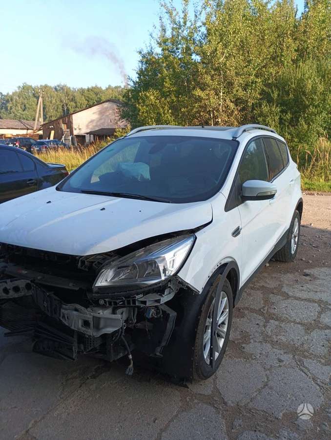 Ford Kuga dalimis