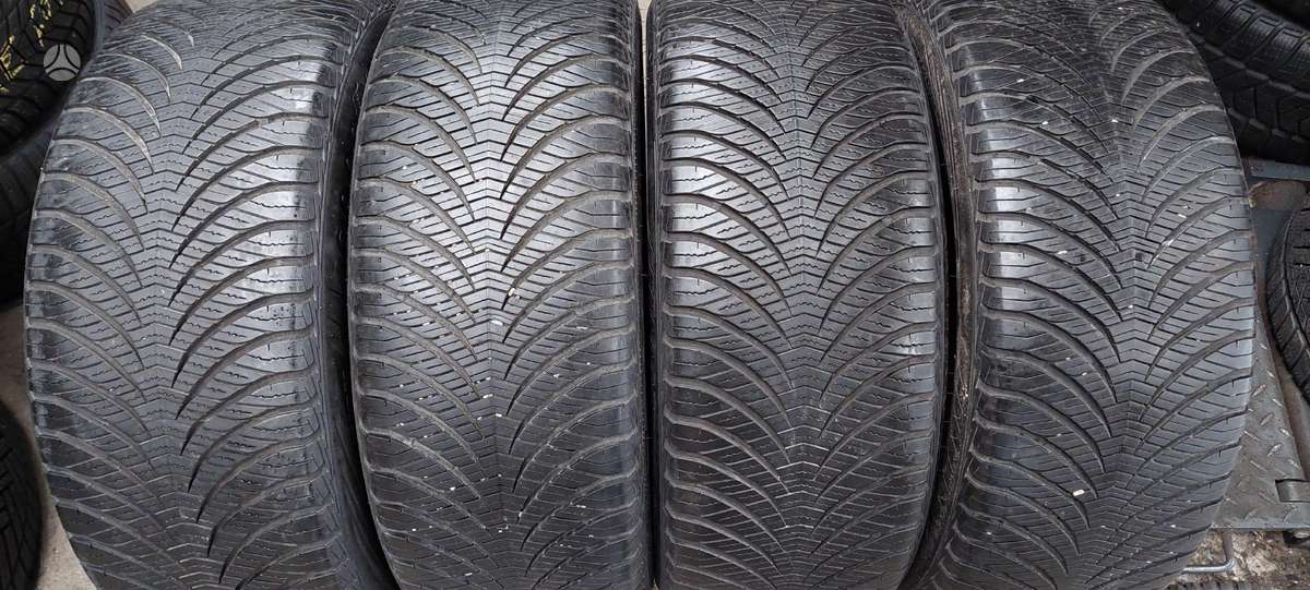 Goodyear, universalios 225/55 R17