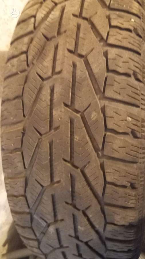 Tigar, žieminės 205/55 R16
