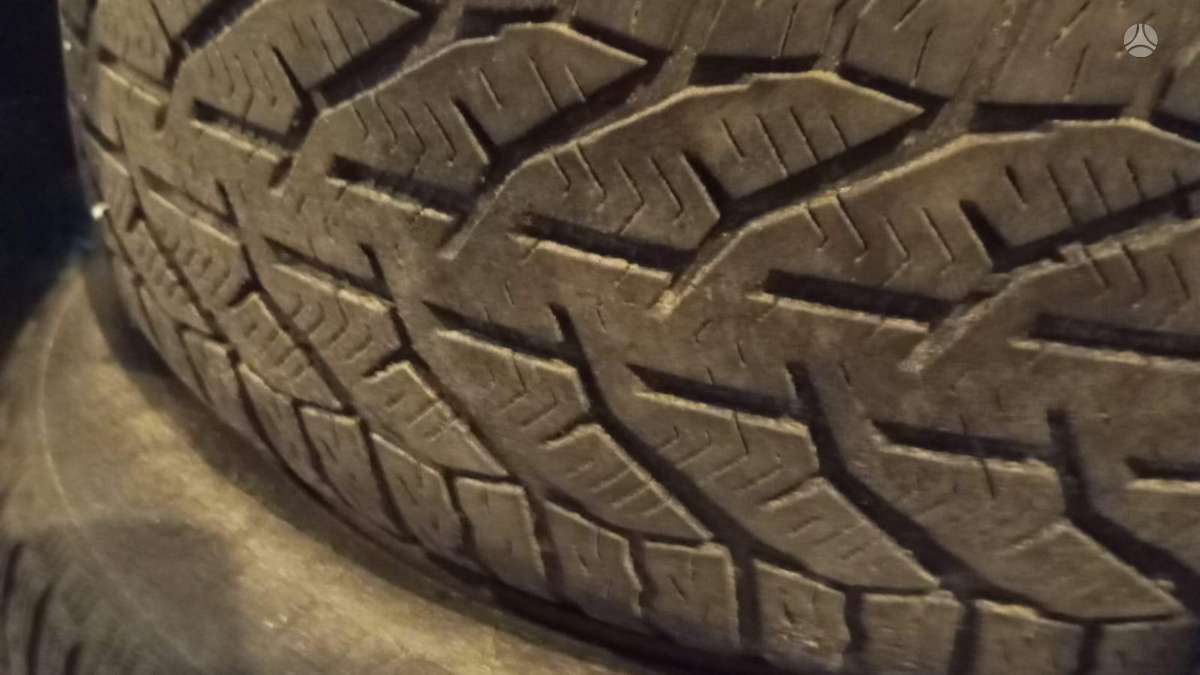 Tigar, зимние 205/55 R16