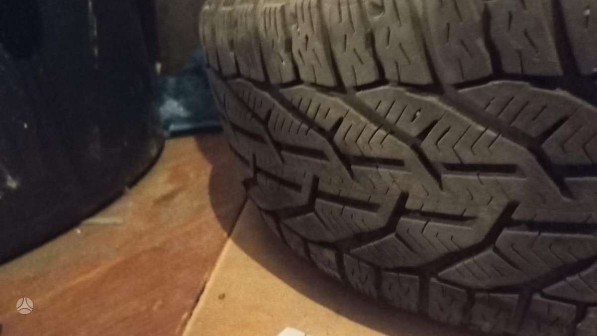 Tigar, зимние 205/55 R16