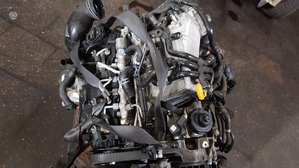 Volkswagen Passat variklio detalės