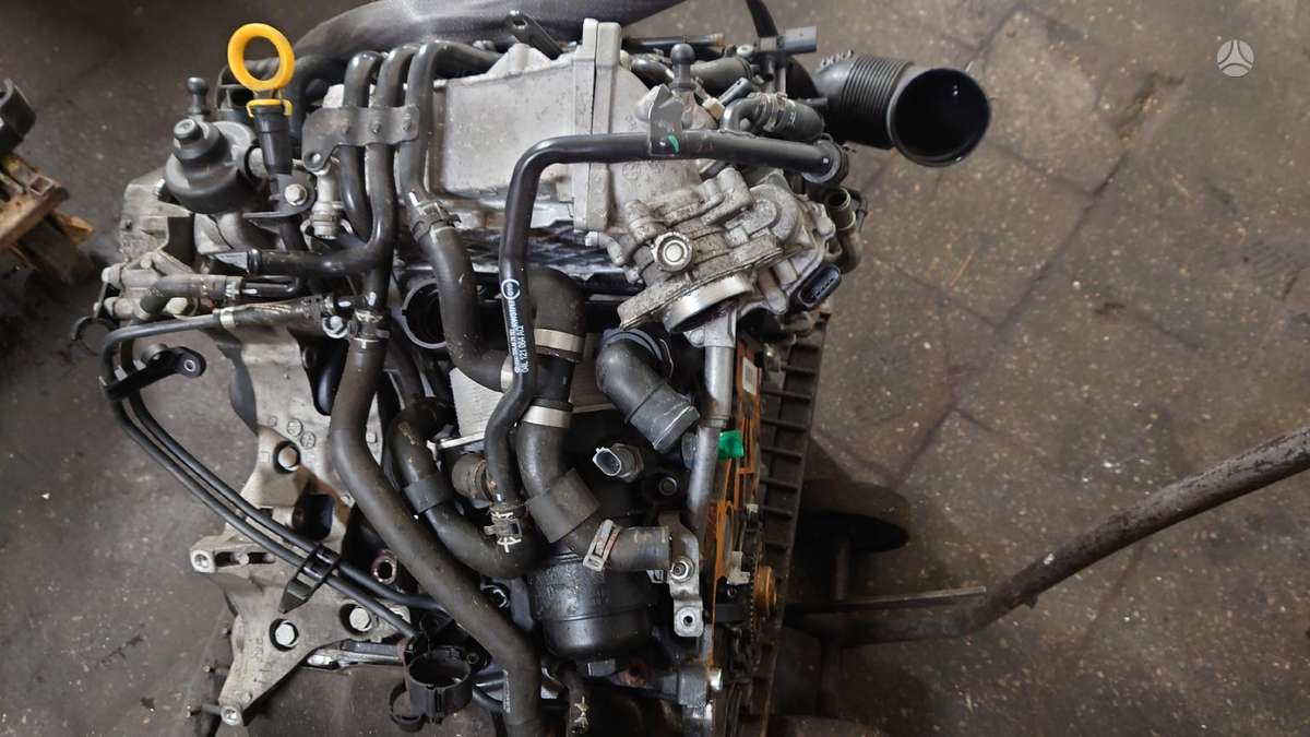 Volkswagen Passat variklio detalės