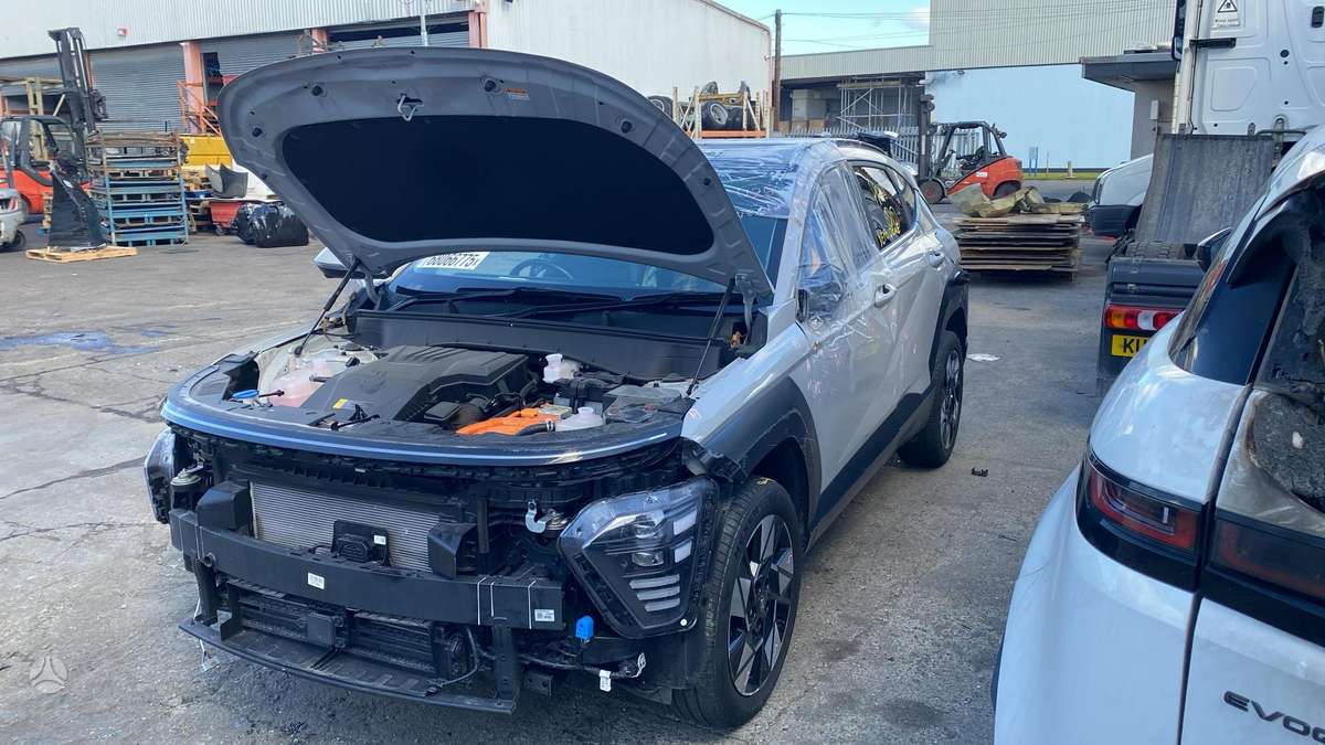 Hyundai Kona dalimis