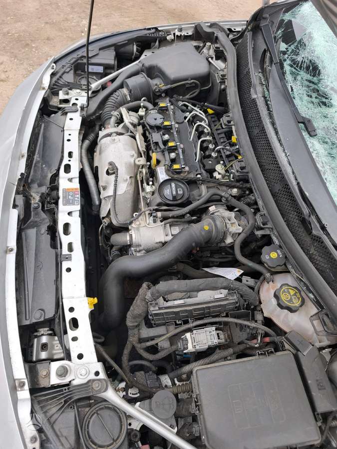 Opel Astra Z176 spalva