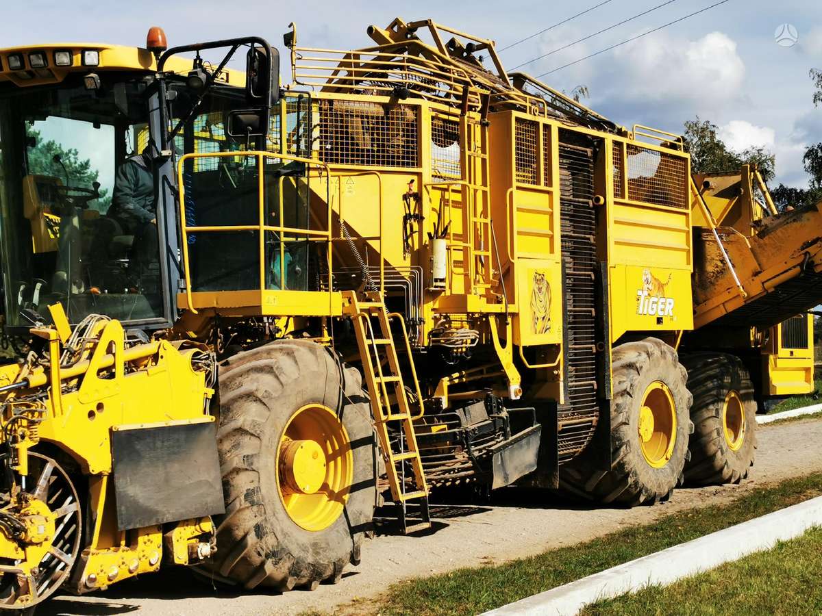 Vervaet Ropa Tiger V8 galima ir nuoma, kombainai
