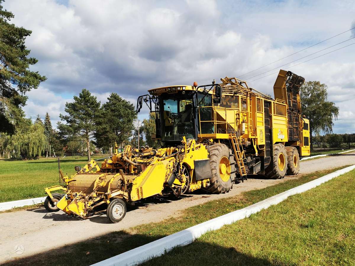 Vervaet Ropa Tiger V8 galima ir nuoma, kombainai