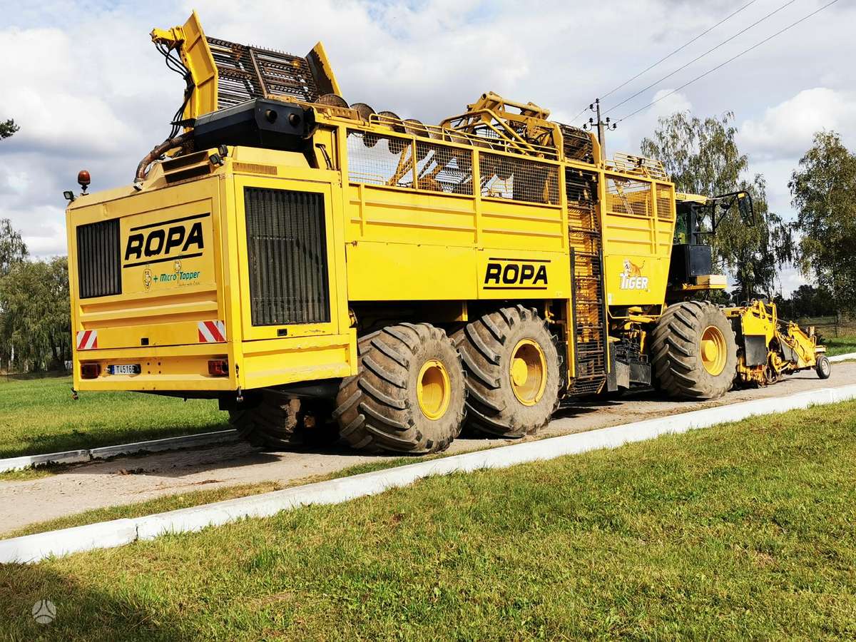 Vervaet Ropa Tiger V8 galima ir nuoma, kombainai