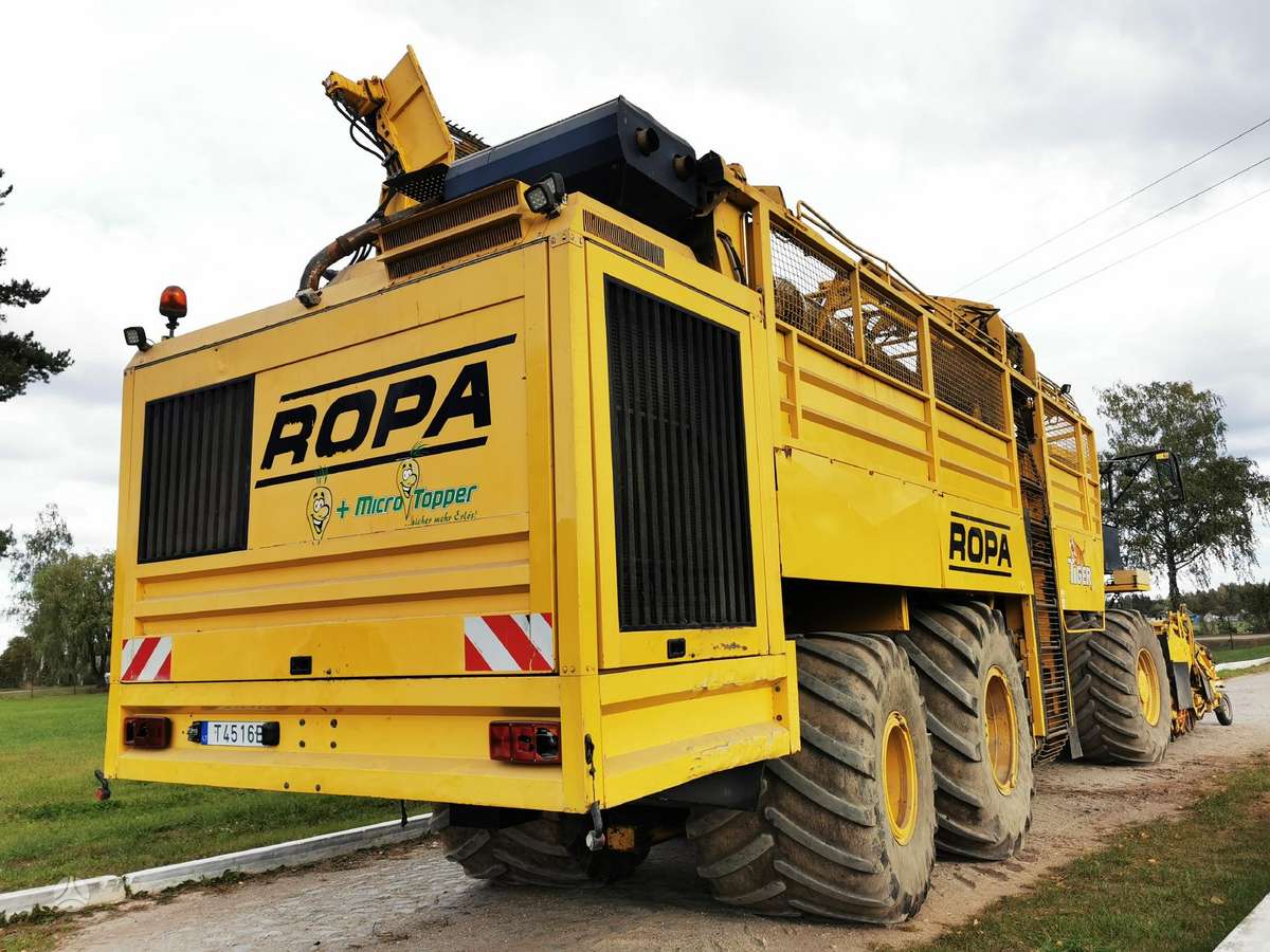 Vervaet Ropa Tiger V8 galima ir nuoma, kombainai
