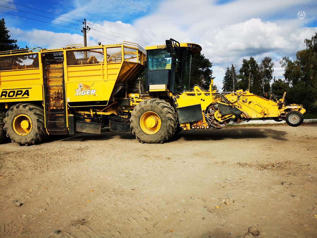 Vervaet Ropa Tiger V8 galima ir nuoma, kombainai