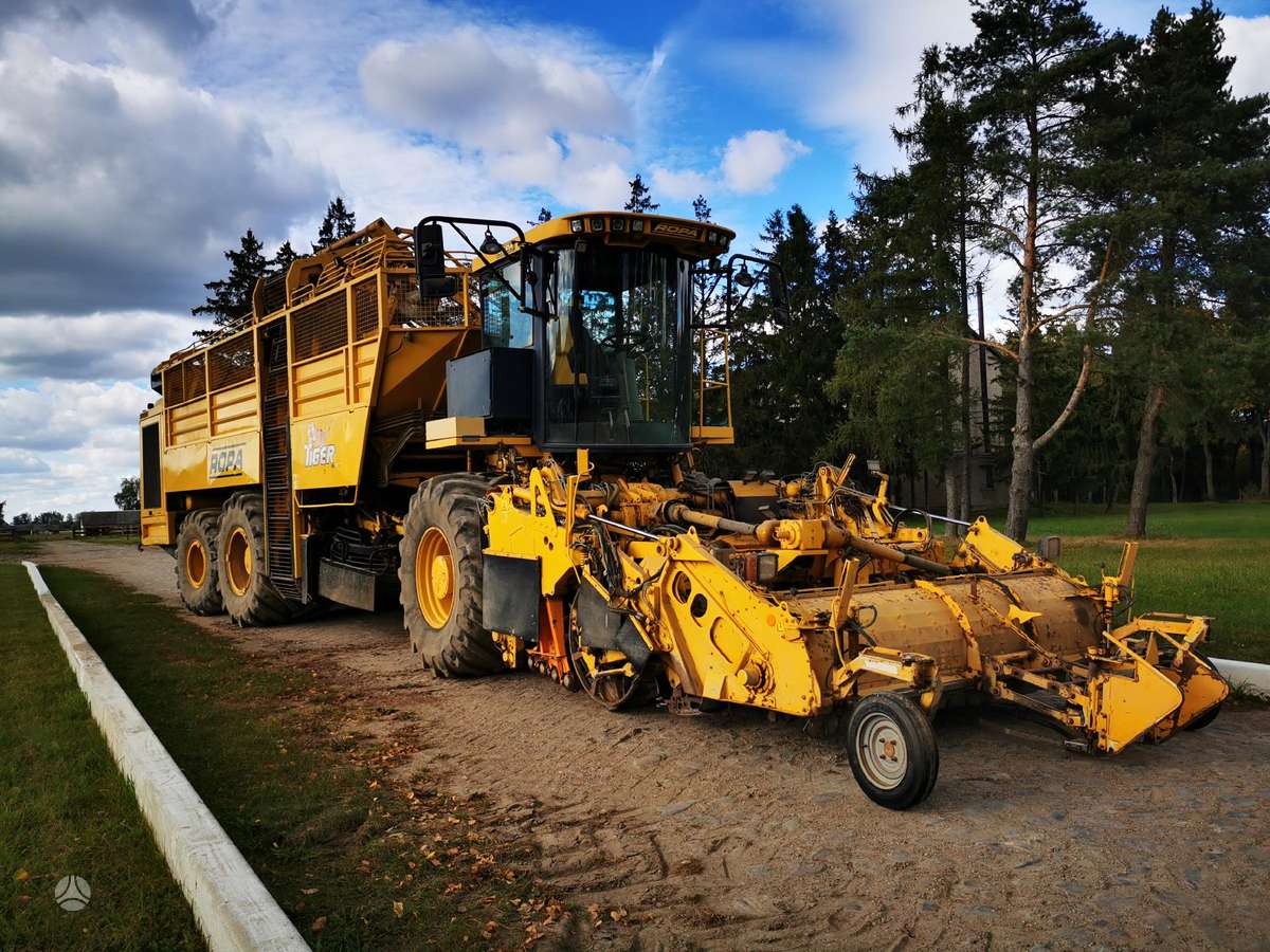 Vervaet Ropa Tiger V8 galima ir nuoma, kombainai
