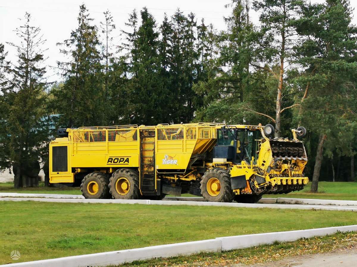Vervaet Ropa Tiger V8 galima ir nuoma, kombainai