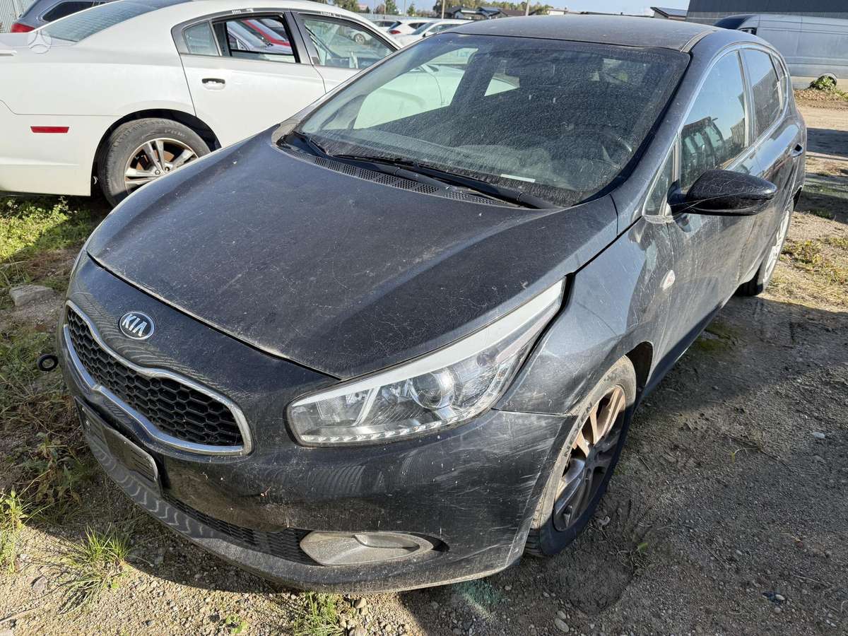 Kia Ceed dalimis