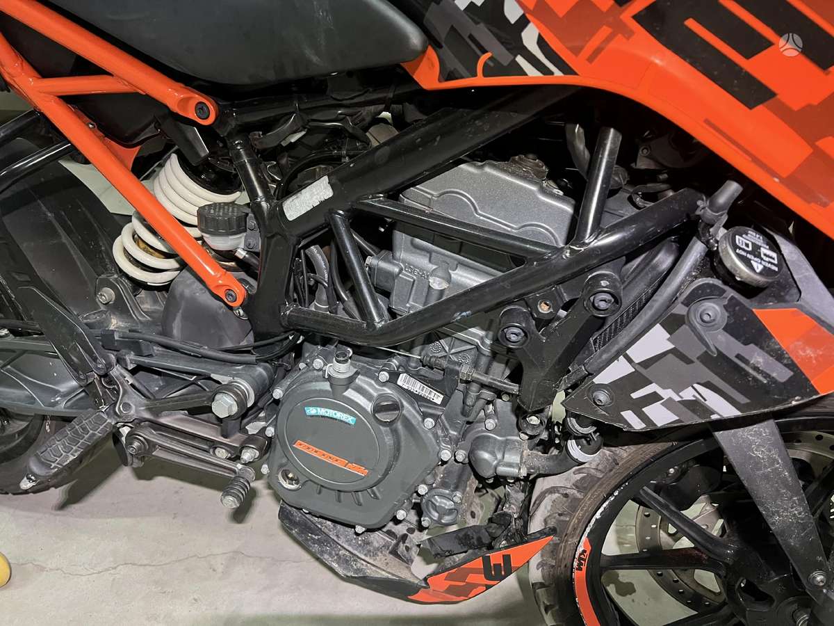 KTM Duke, street / classic