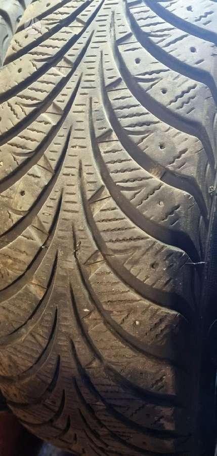 Sava, зимние 195/65 R15
