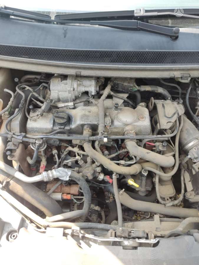 Ford Focus dalimis